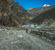 Mardi Himal  Trek – 10 Days Review