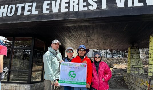 Company Broad Picture