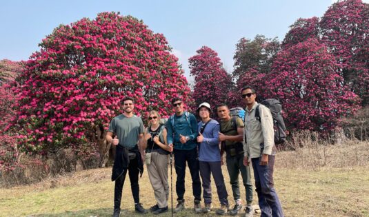 Beautiful flower background Picture