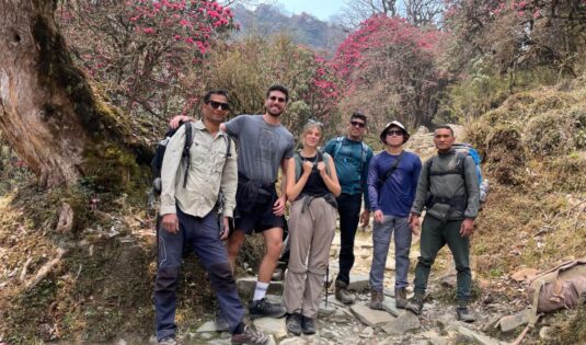 On the way to ghorepani picture