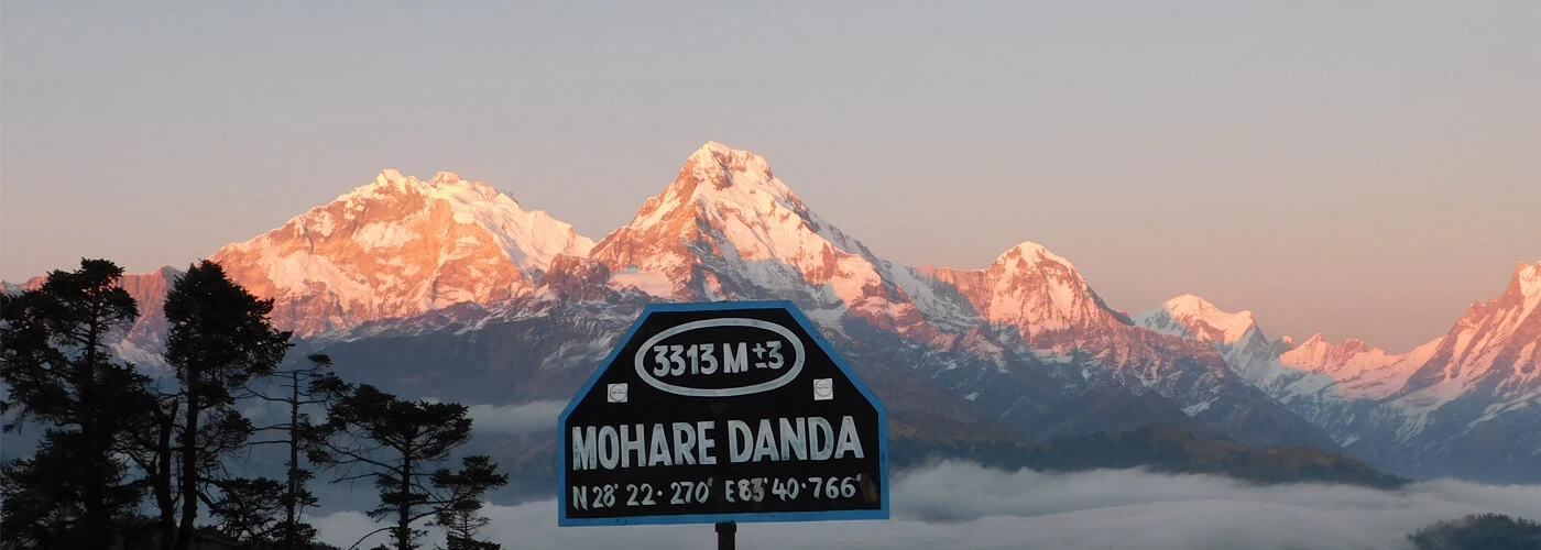 Mohore Dada Trek PIcture