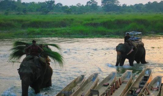 Chitwan Tour Packages