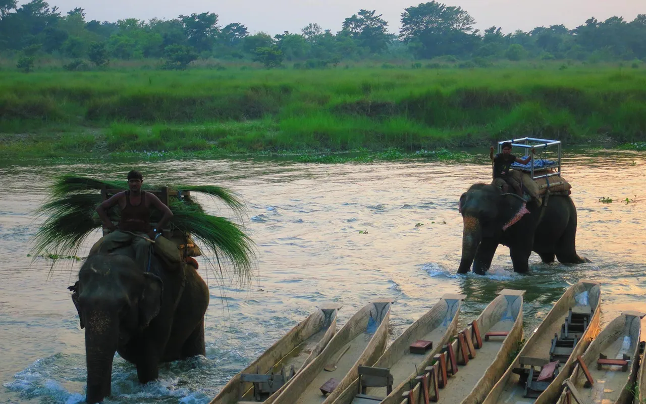 Chitwan Tour Packages