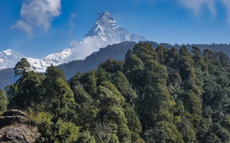 mardi himal trek without a guide
