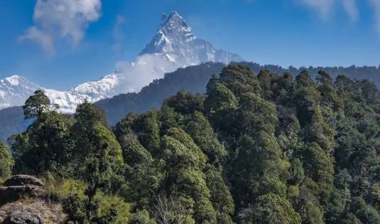 mardi himal trek without a guide