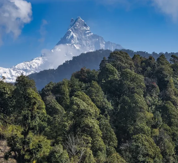 mardi himal trek without a guide