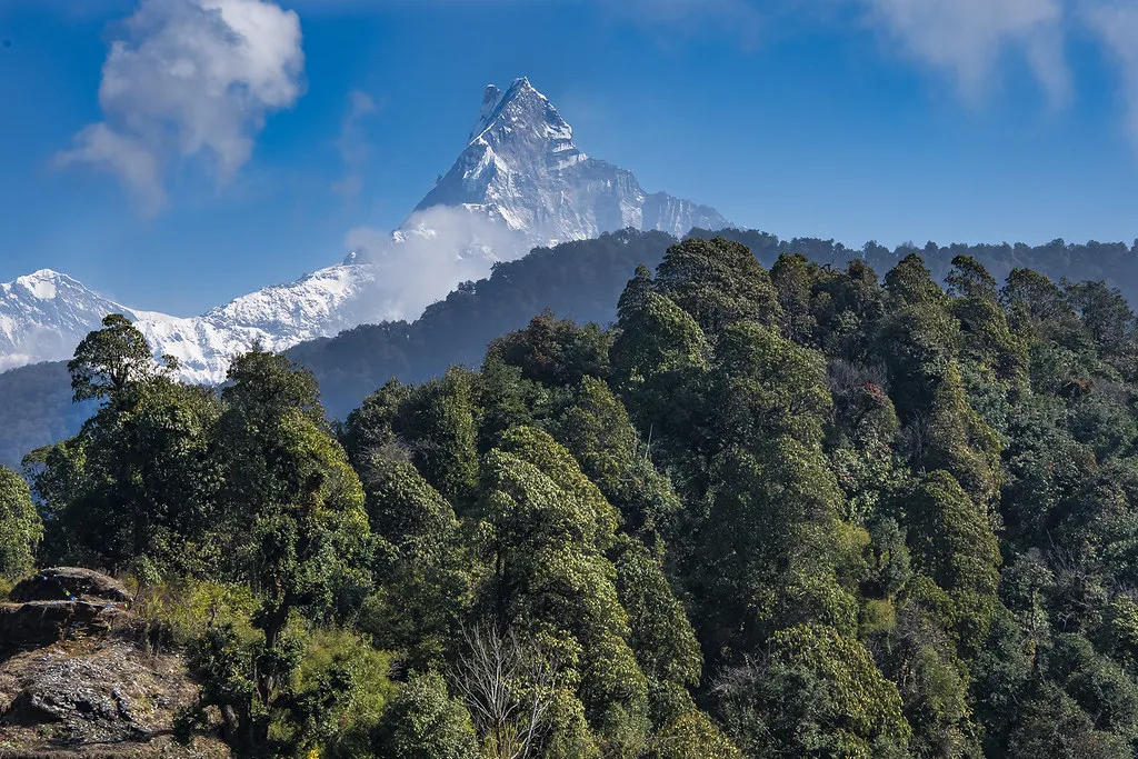 mardi himal trek without a guide