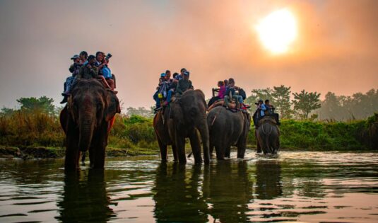 Elephant Safari, Chitwan National Park