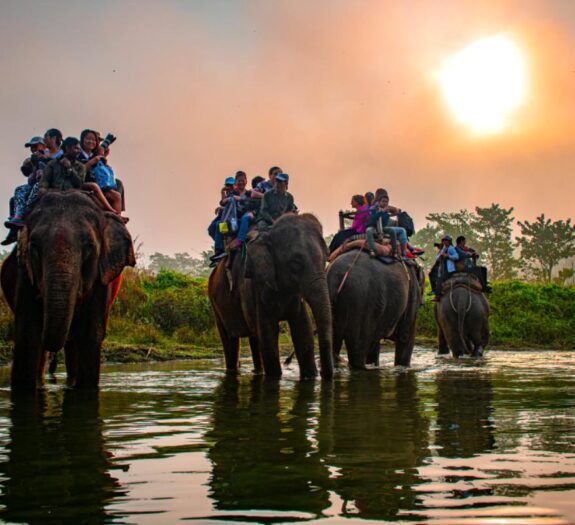 Elephant Safari, Chitwan National Park