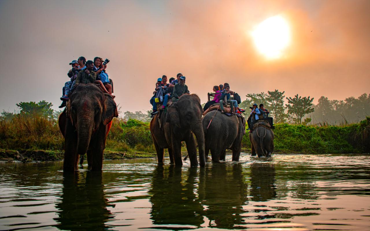 Elephant Safari, Chitwan National Park