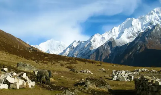 Langtang