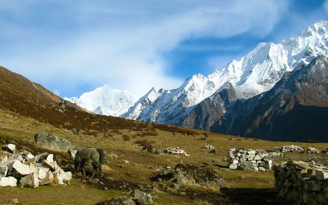 Langtang
