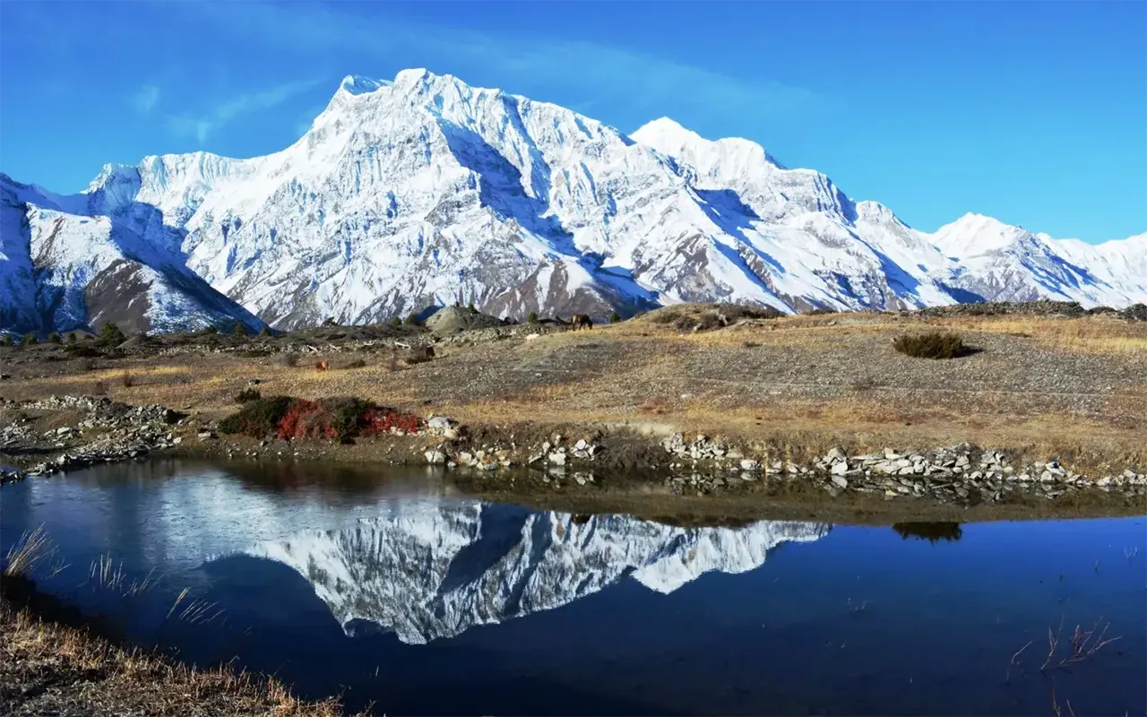 Annapurna Base Camp Luxury Trek