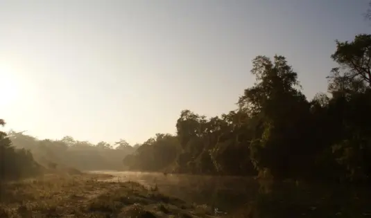 Bardia Wildlife Experience