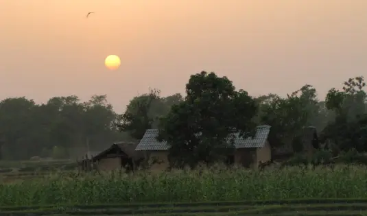 Wildlife Safari In Bardia